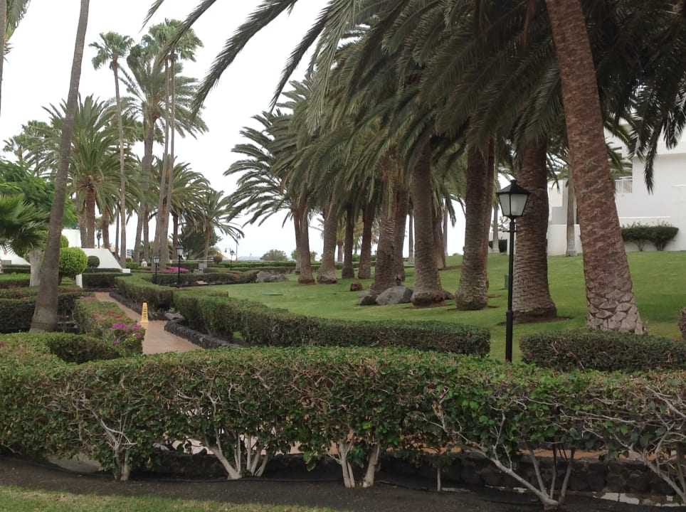 Gartenanlage Hotel Riu Paraiso Lanzarote
