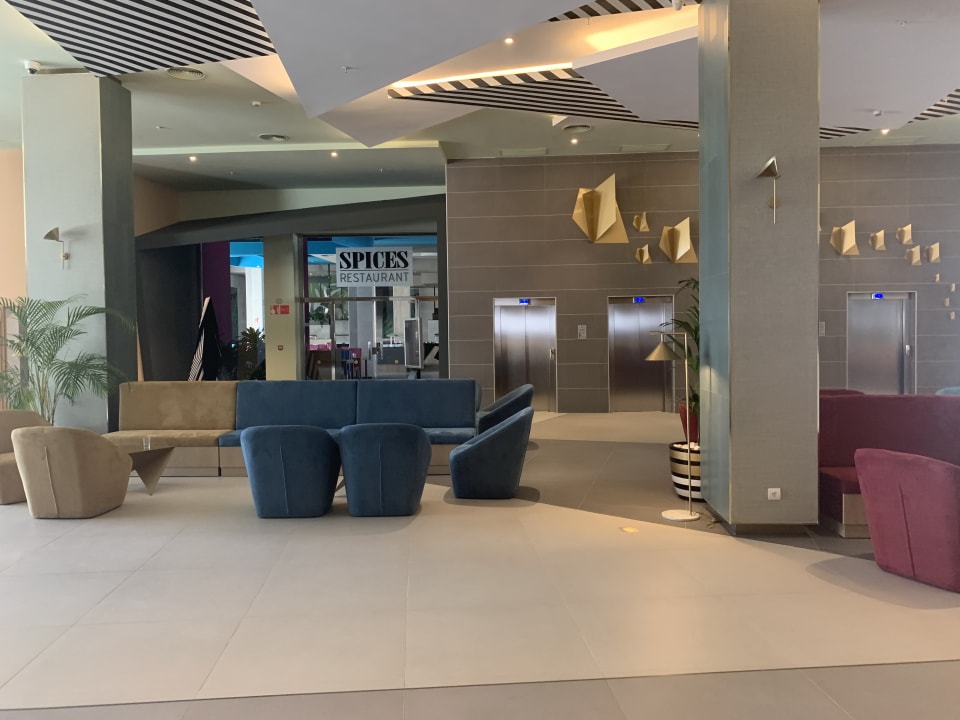 Lobby Hotel Riu Playa Park