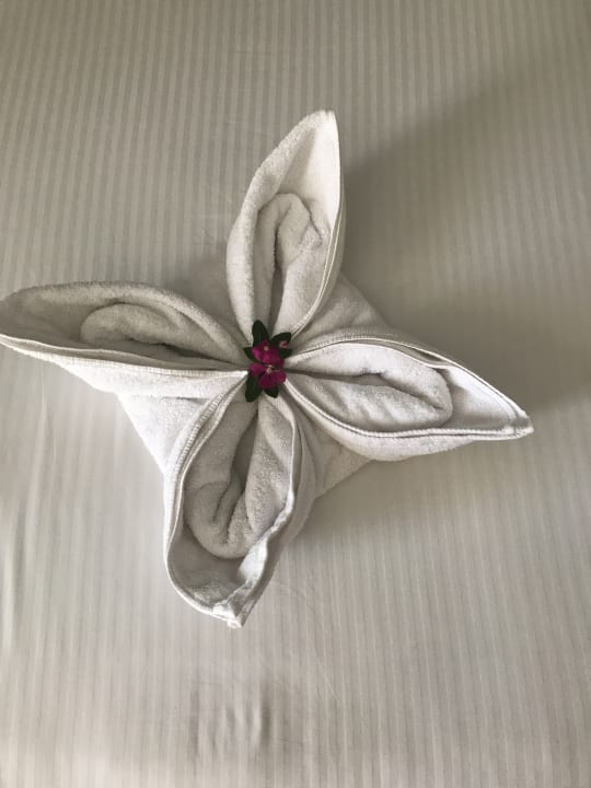 Zimmer Titanic Beach Spa & Aqua Park