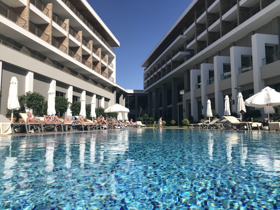 Pool Acanthus Cennet Barut Collection