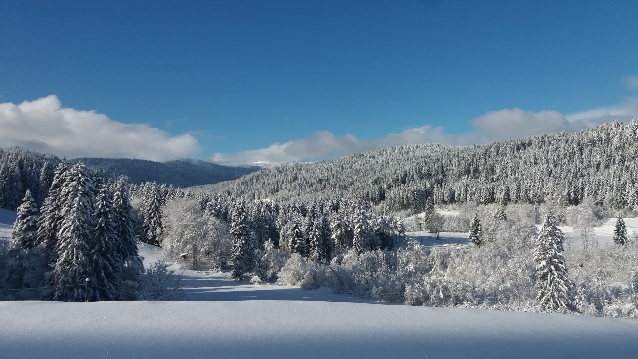 Ausblick Gästehaus Behabühl