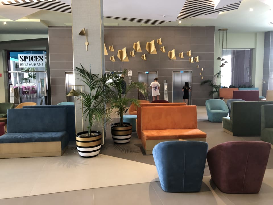 Lobby Hotel Riu Playa Park