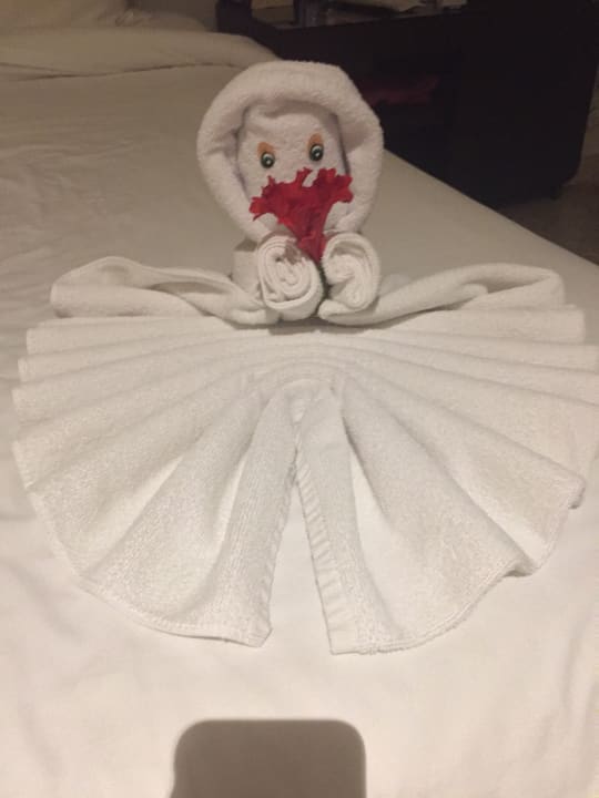 Handtuch Tier Akumal Bay Beach & Wellness Resort