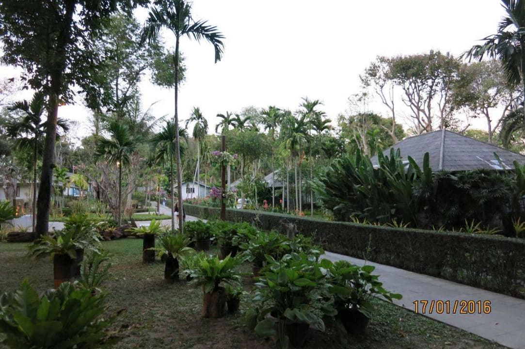 Garten und Bungalow Sai Kaew Beach Resort