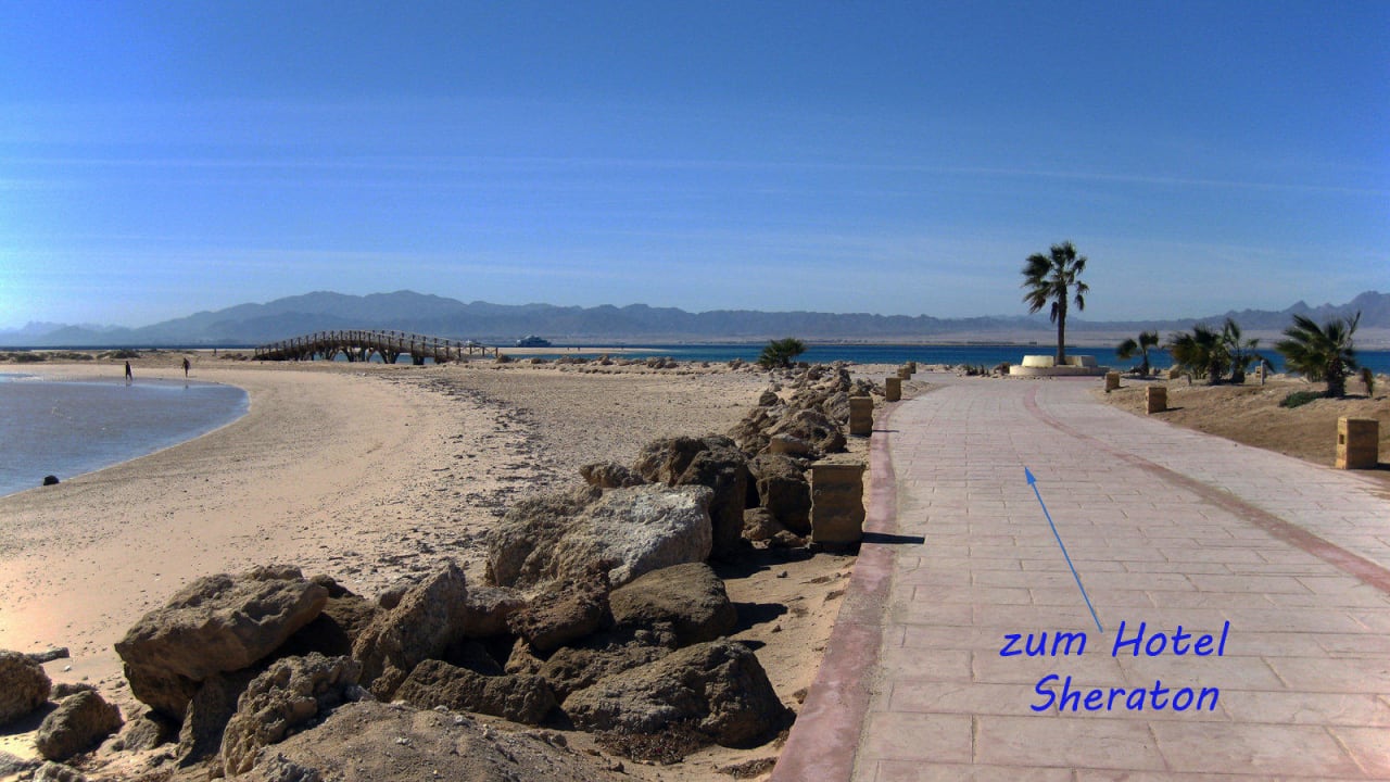 Zurück zum Hotel Hotel Sheraton Soma Bay Resort