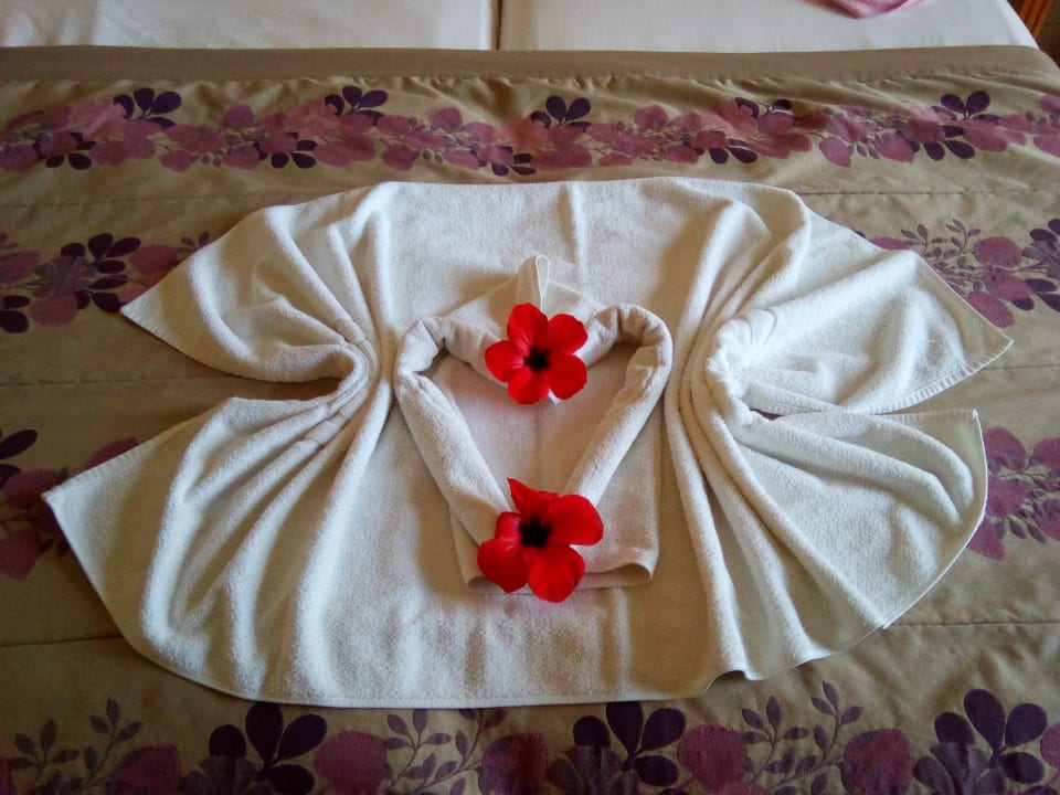 Zimmer Hotel Djerba Resort