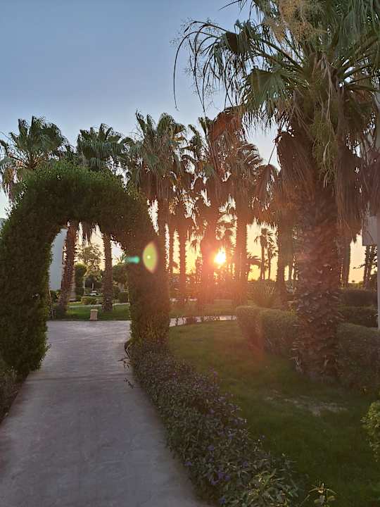 Außenansicht Lotus Bay Beach Resort