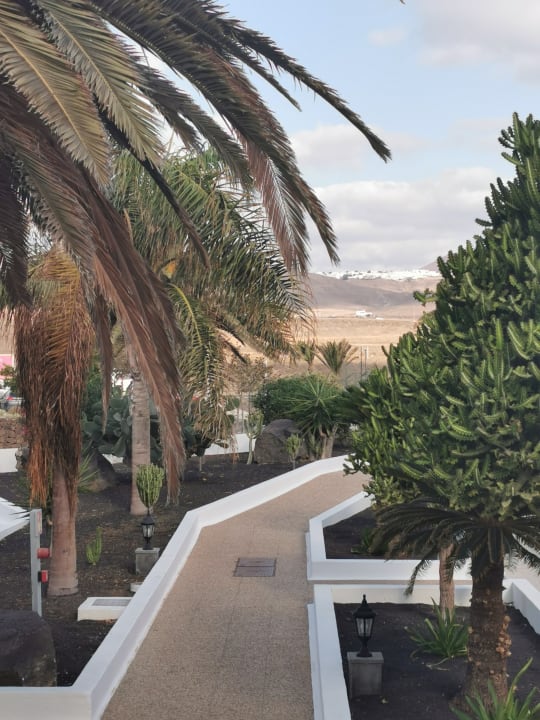 Gartenanlage Hotel Floresta