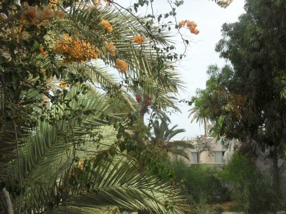 Widok z balkonu Zita Beach Resort