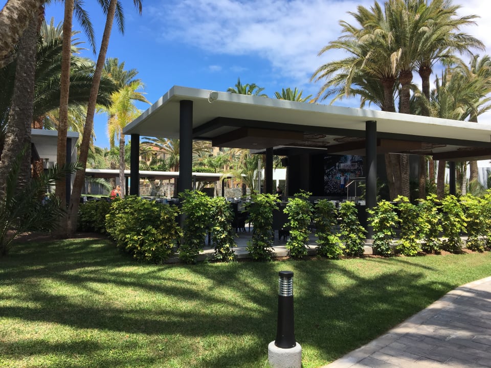 Gartenanlage Hotel Riu Palace Oasis