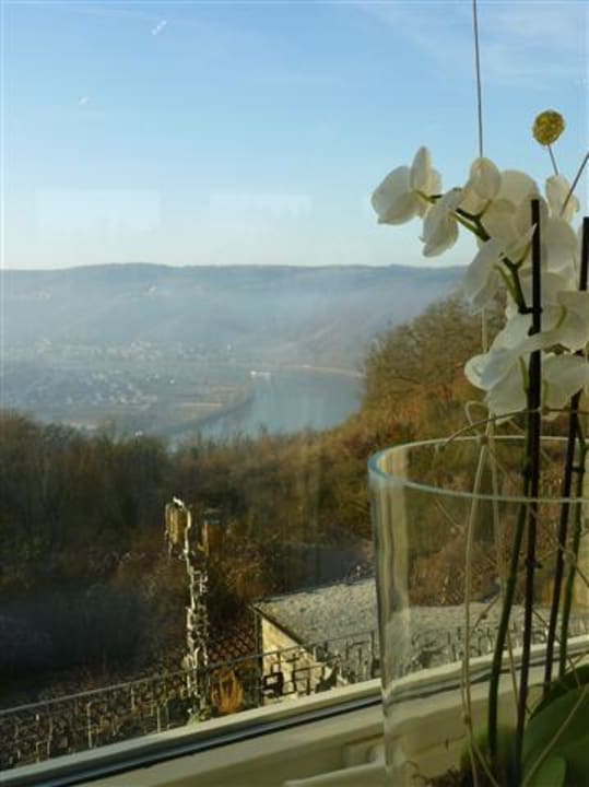 Blick vom Restaurant ins Rheintal Hotel Klostergut Jakobsberg