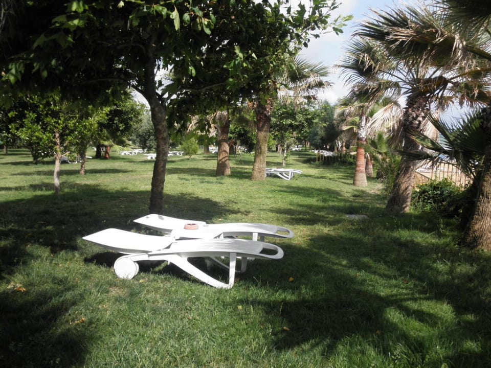 Gartenanlage Hotel Defne Dream