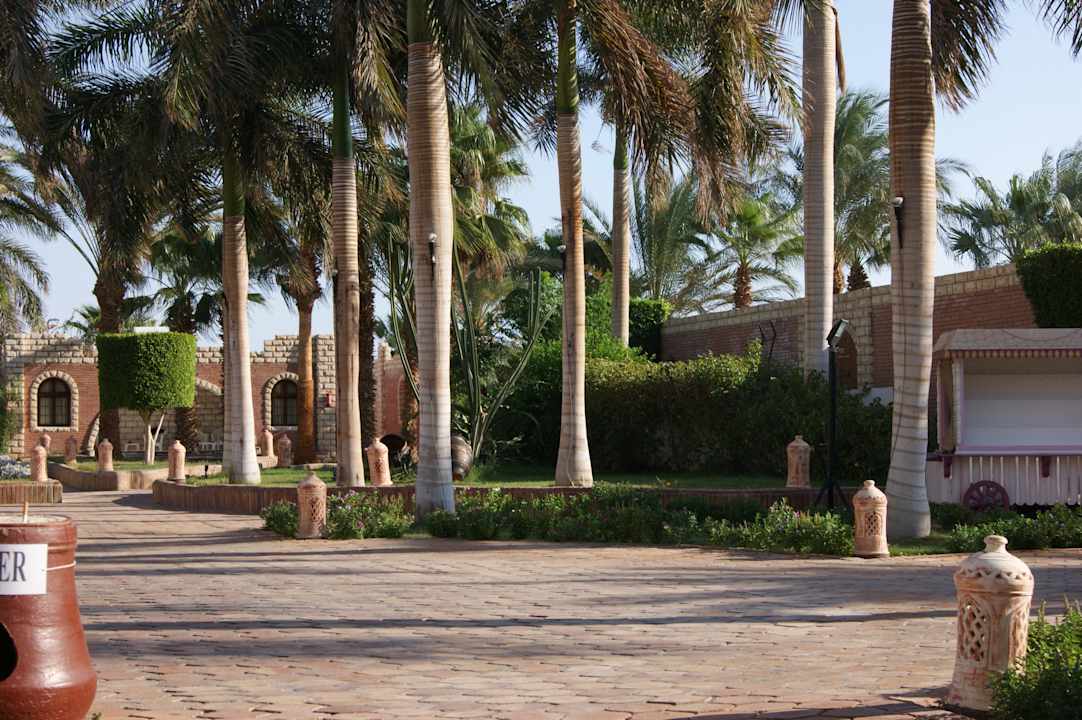 Ogród Aladdin Beach Resort