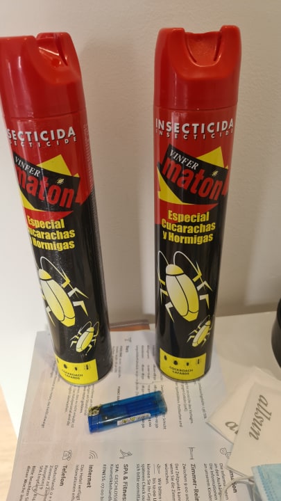 Zimmer allsun App.-Hotel Barlovento