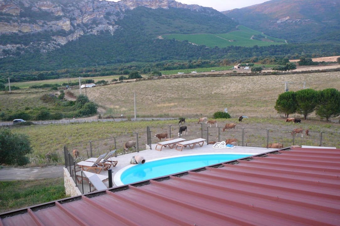 Fensterblick Hotel Auberge U Lustincone