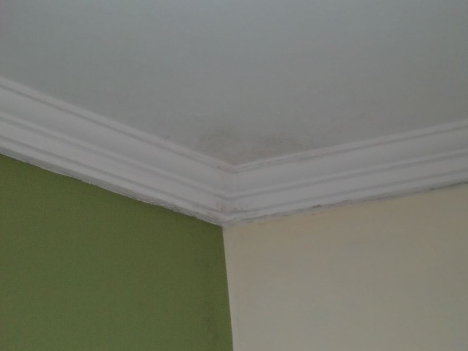 Schimmel in einem Zimmer Hane Family Resort