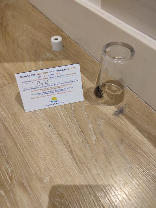 Zimmer Hotel Mariant Park