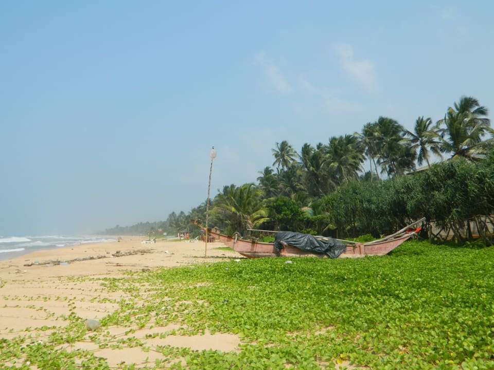 Am Warahena Beach Hotel Bentota Village