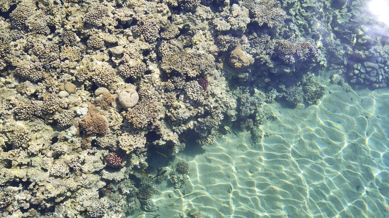 Strand Cleopatra Luxury Resort Makadi Bay