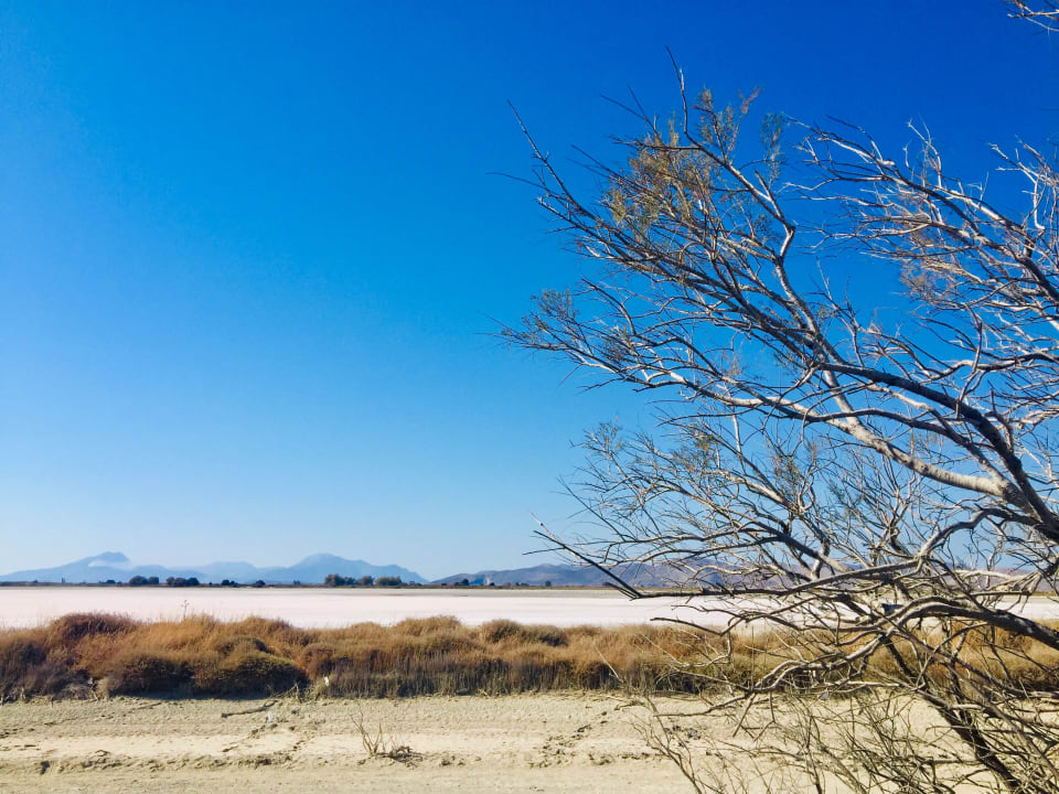 Ausblick Sentido Pearl Beach Kos – Adults only