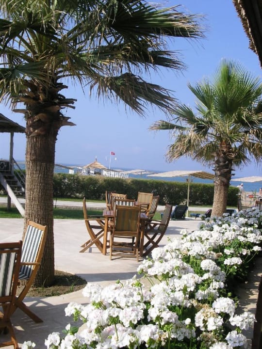 Strandbar und Meer Blue Waters Club