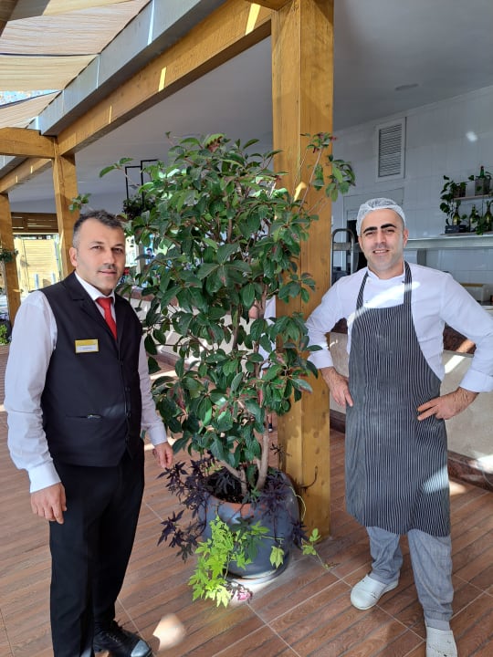 Sonstiges Sentido Trendy Verbena Beach