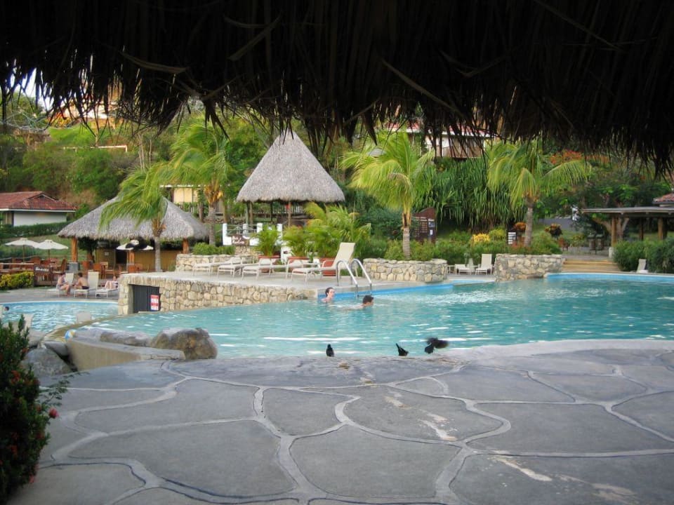 Pool Secrets Papagayo Costa Rica - Adults only