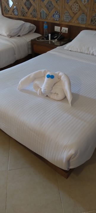 Zimmer Lazuli Hotel Marsa Alam