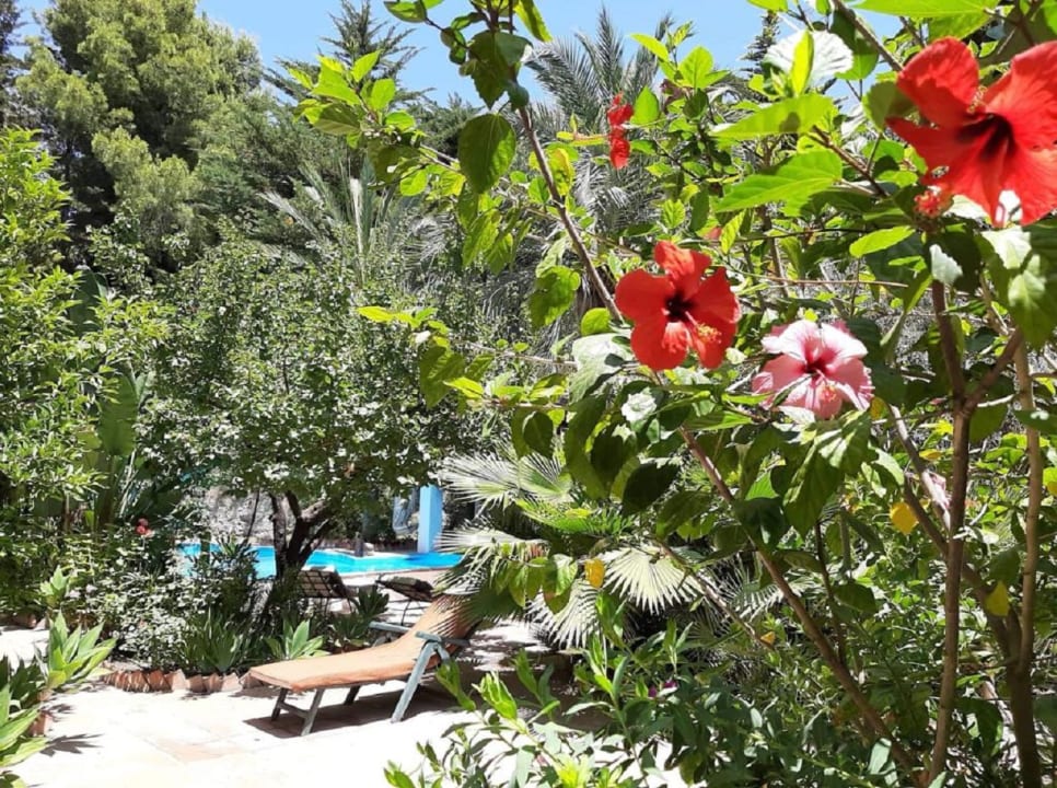 Pool Seminarhaus Castillo San Rafael