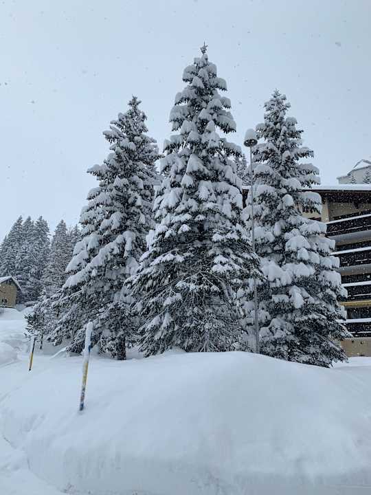 Gartenanlage AROSA ALPINE CLUB - Adults only