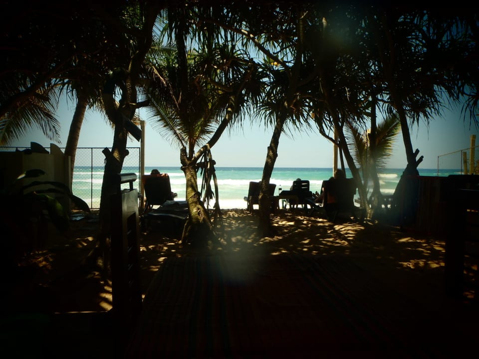 Lieblingsplatz Hotel Haus am Meer Wilde Ananas