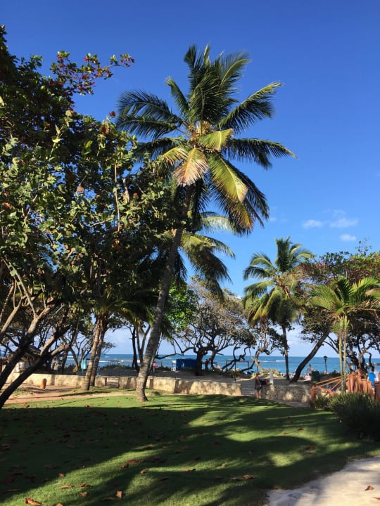 Anlage  Marien Puerto Plata