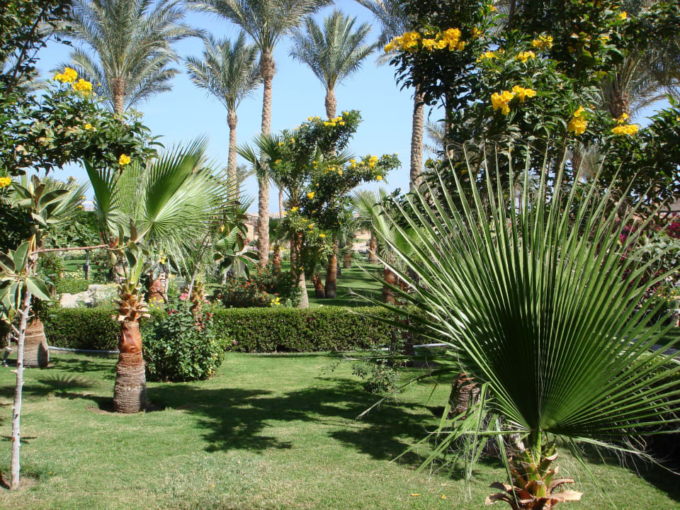 Так почти на всей территории Riviera Aqua Park Resort