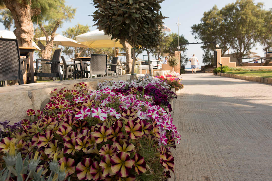 Gartenanlage Anissa Beach & Village