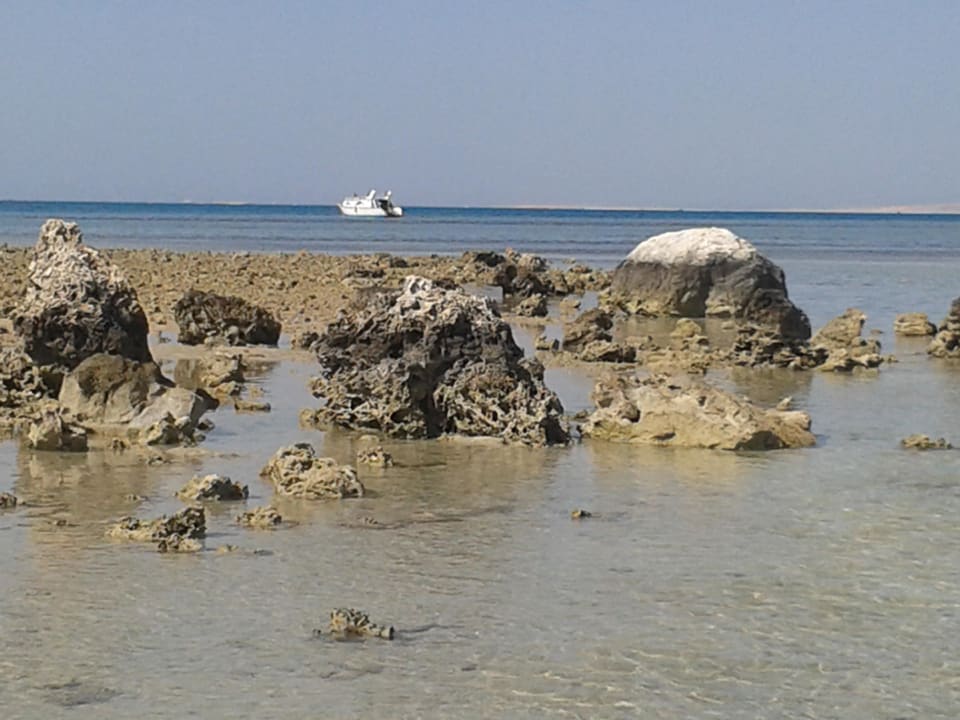 Tolle Naturskulptur, Titanic Beach Spa & Aqua Park