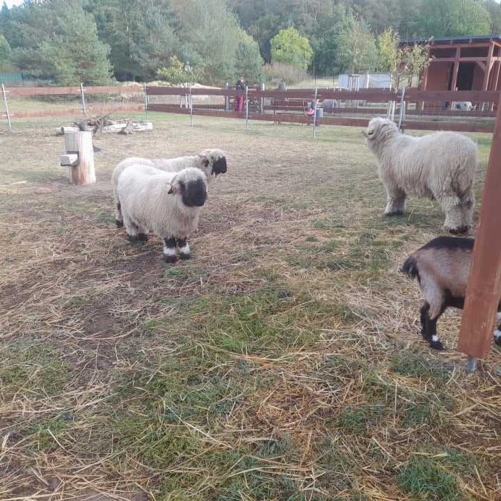 Sport & Freizeit Ferienpark Templin