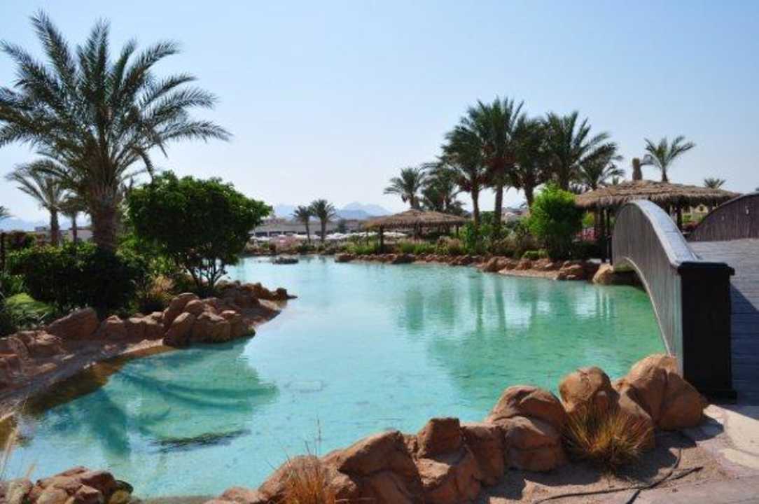 Ну очень мне эта речка понравилась Regency Plaza Aqua Park & Spa