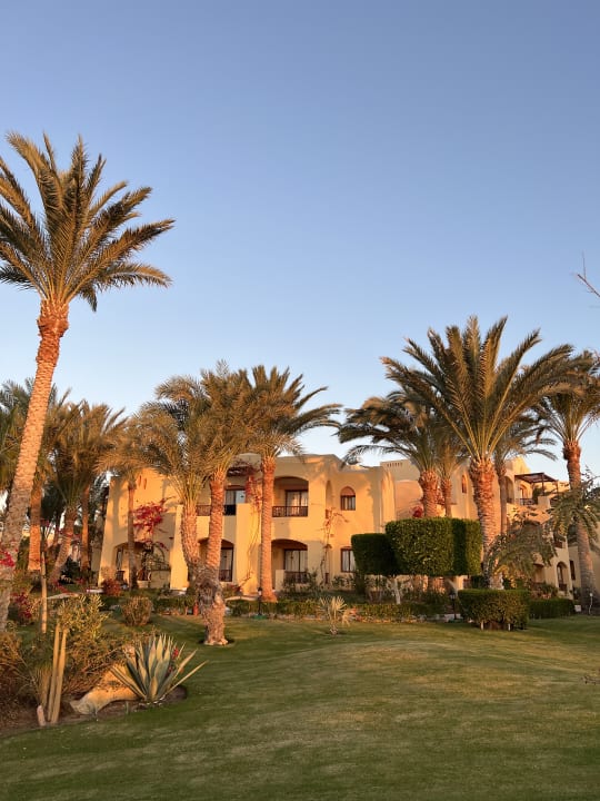 Gartenanlage Steigenberger Coraya Beach - Adults only