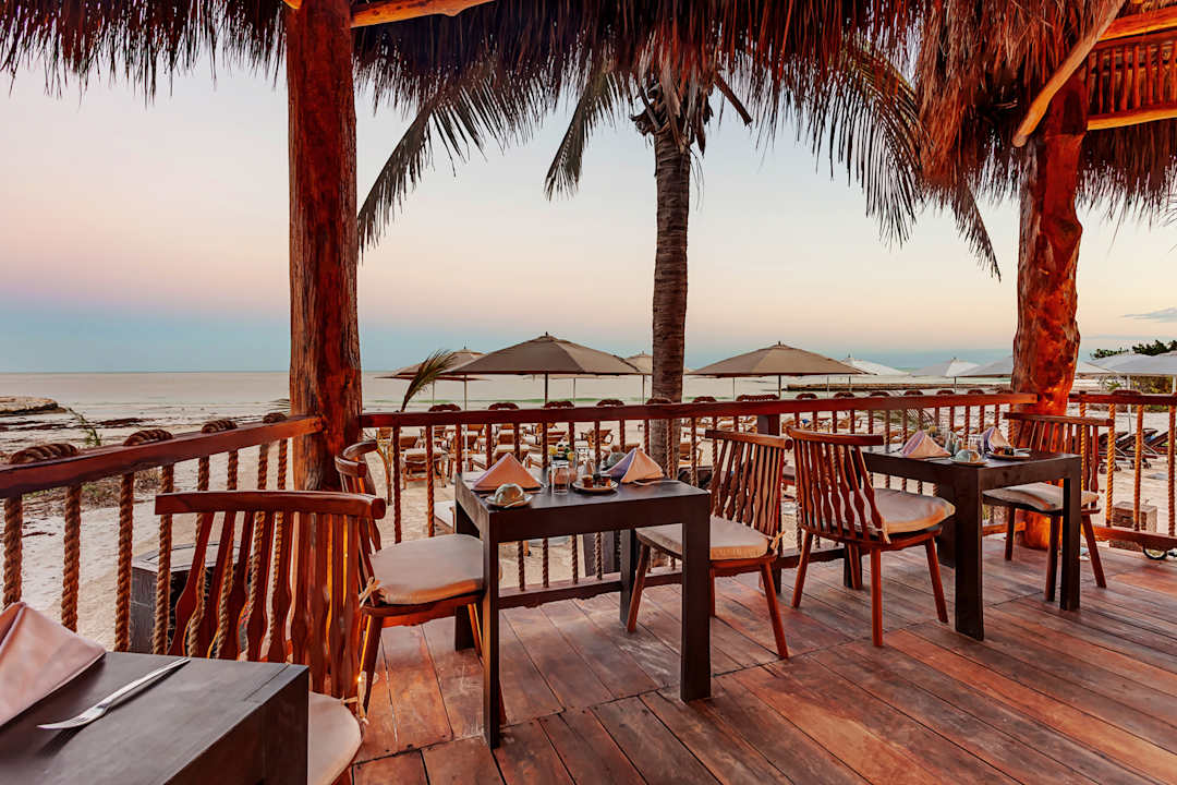 Gastro Mystique Holbox