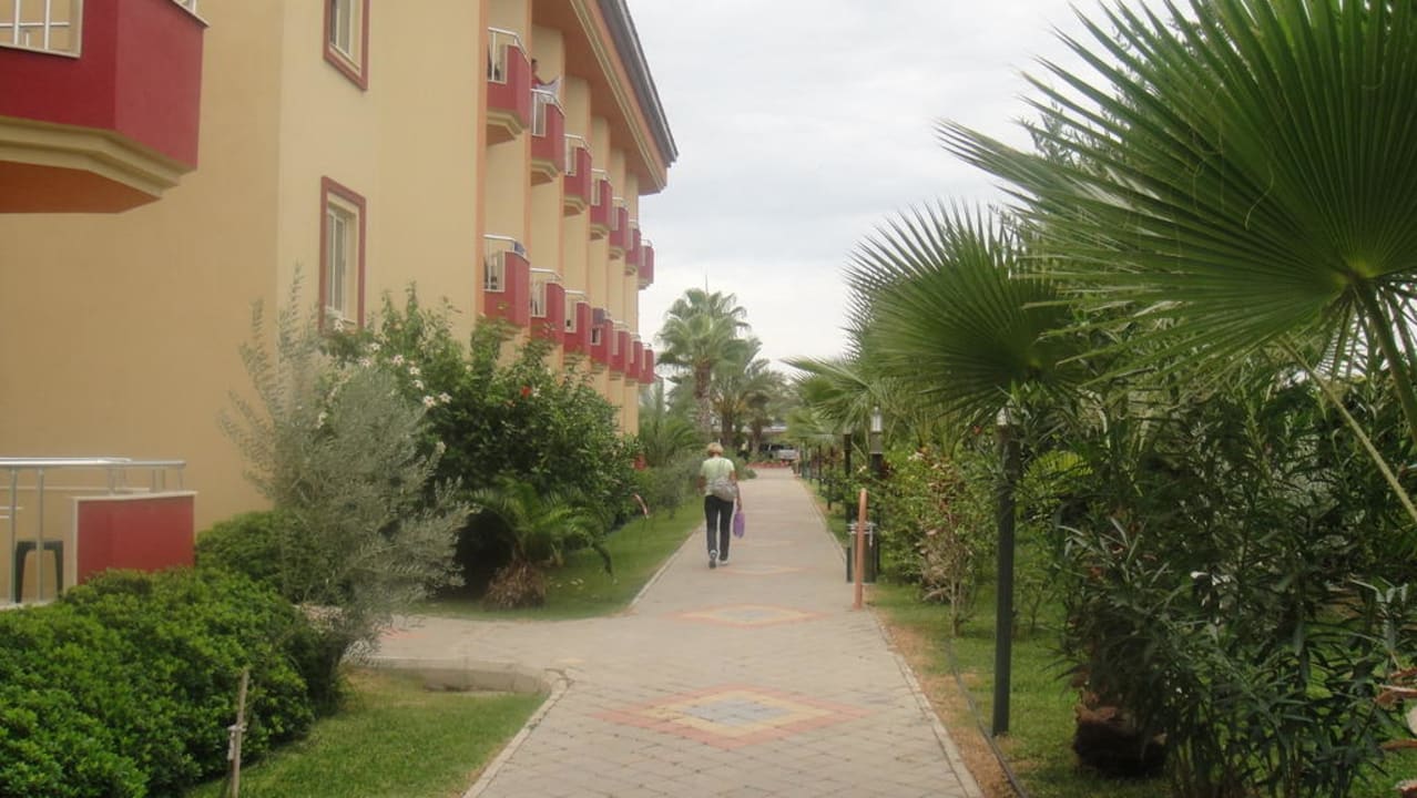 Hotel Orfeus Park Hotel Orfeus Park