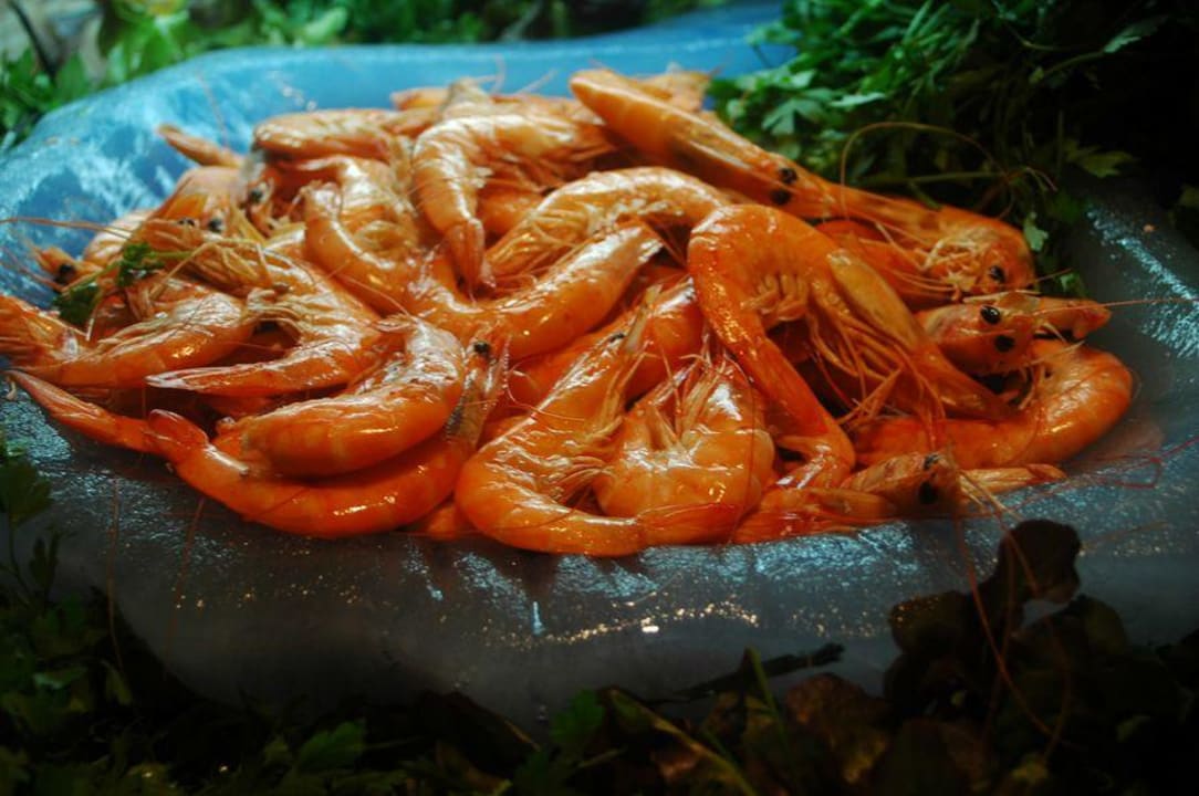 Lopesan Baobab Resort Lopesan Baobab Resort