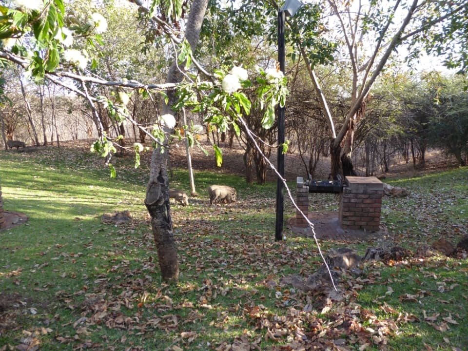 Gartenanlage Lokuthula Lodge