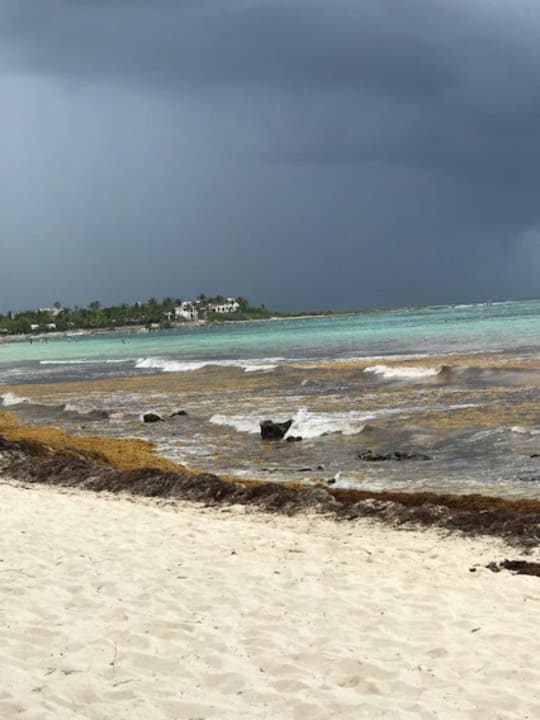 Strand Akumal Bay Beach & Wellness Resort