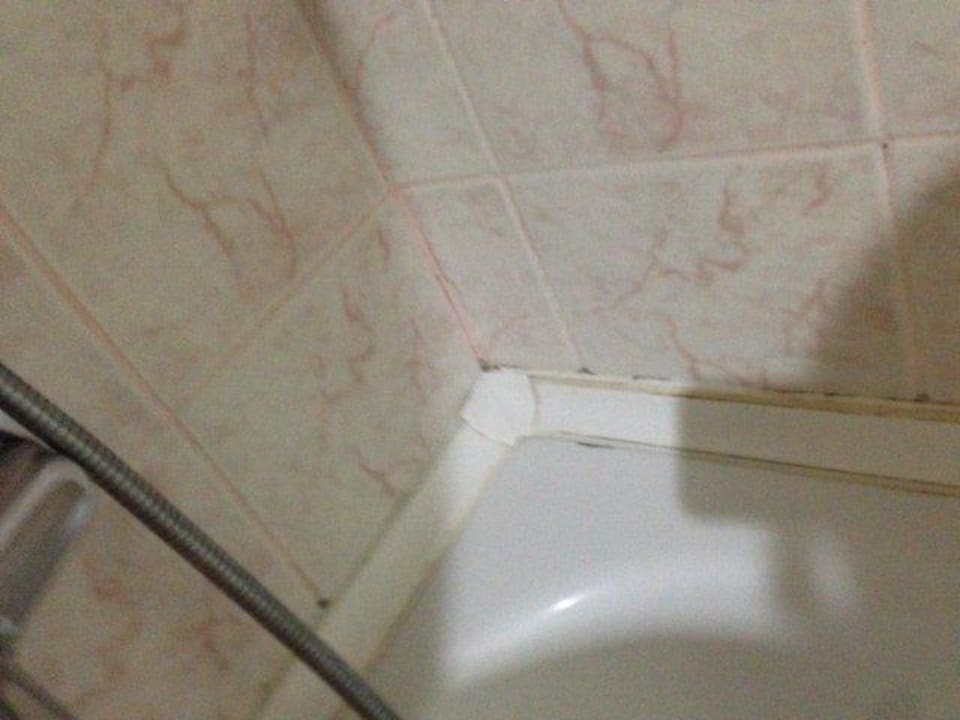 Badewanne voller Dreck und Schimmel Asteria Collection Side