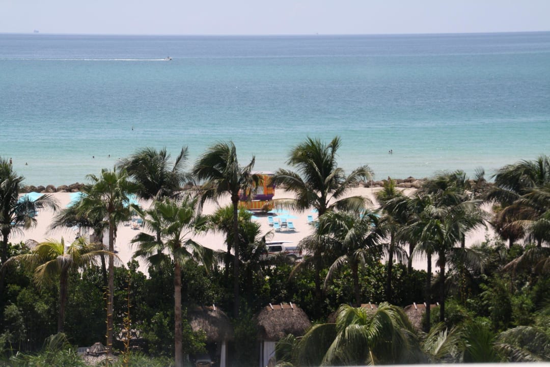 Ausblick zum Meer Hotel Palms on the Ocean