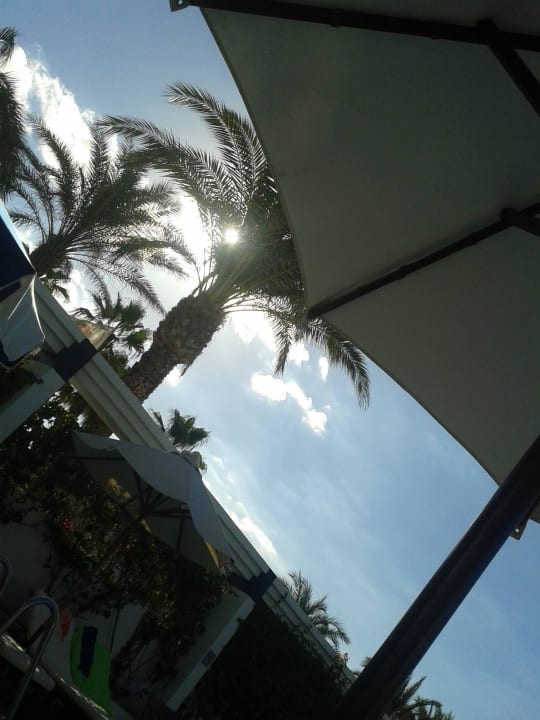 Ausblick von den Liegen am Pool THB Gran Playa - Adults only