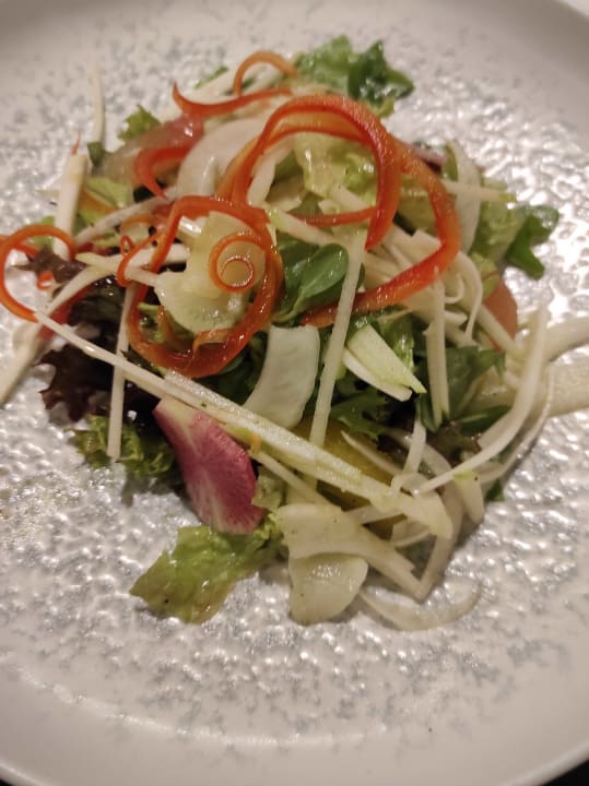 Gastro Acanthus Cennet Barut Collection