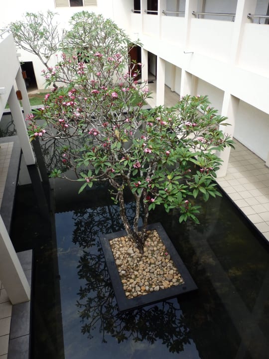 Schön angelegt Mermaid Hotel & Club