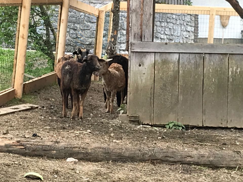 Sonstiges Hotel Kohlerhof