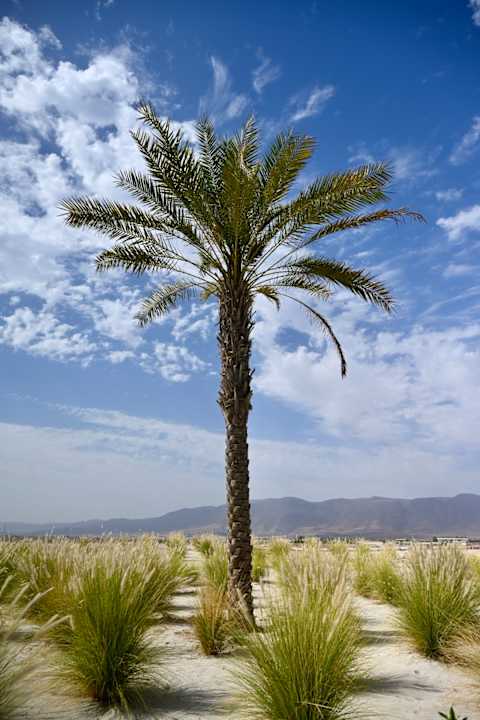 Lobby Apartment in Hawana Salalah, Forest Island